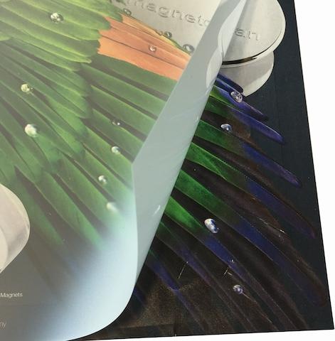 Actual product image Magnetoplan Replacement foil A1 (A1)
