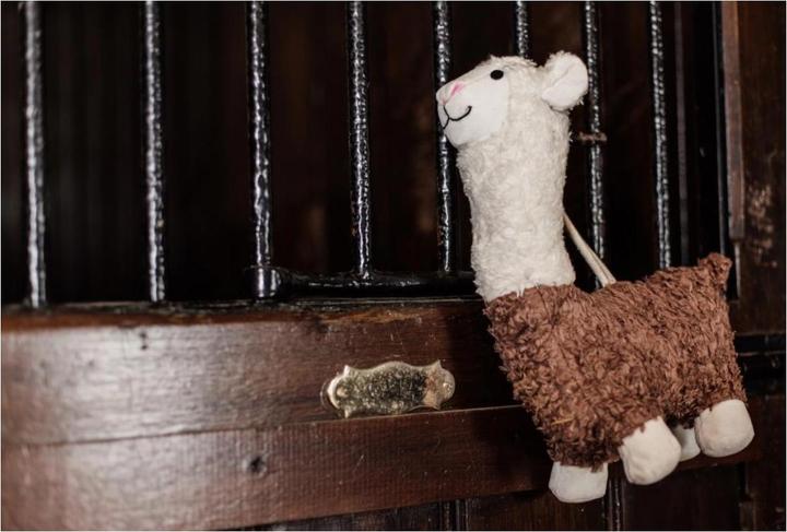 Produktbild Kentucky Horsewear Pferdespielzeug Relax Horse Toy Alpaka