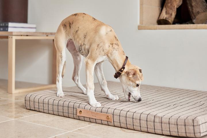 Immagine prodotto Oyoy Milo (Cane)