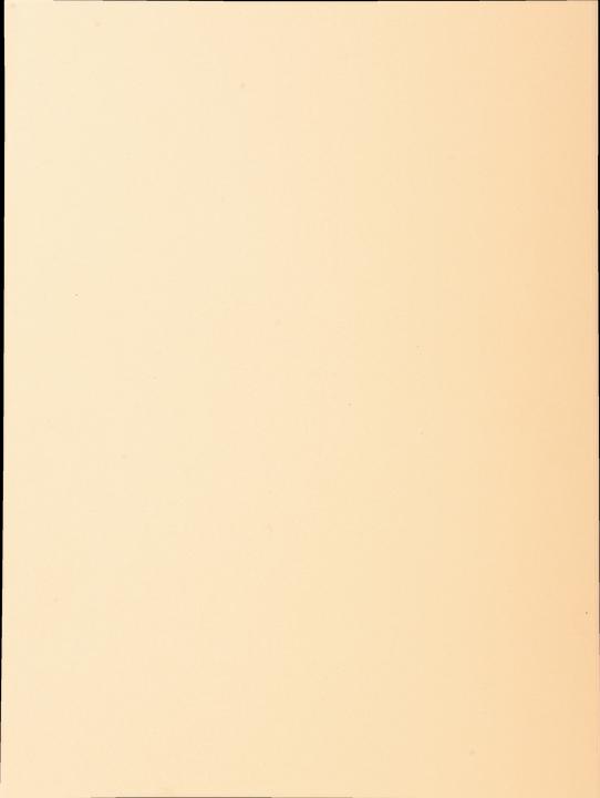 Actual product image Exacompta File cover (A4, 100 x)