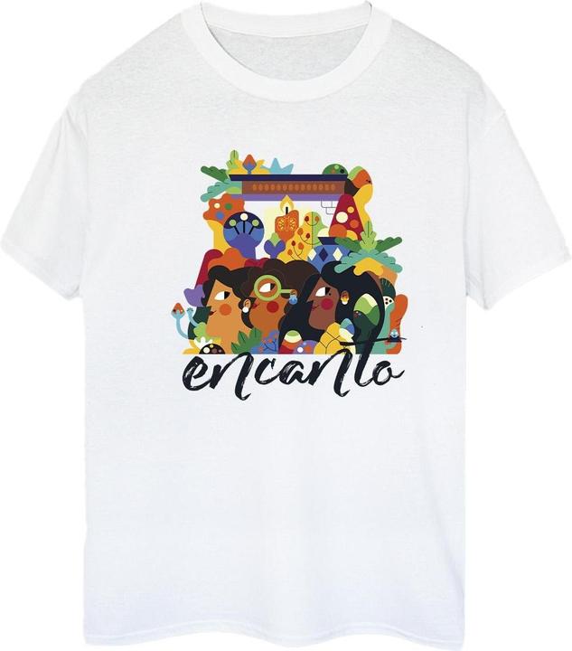 Actual product image Disney Womens/Ladies Encanto Sisters Cotton Boyfriend T-Shirt (XXL)