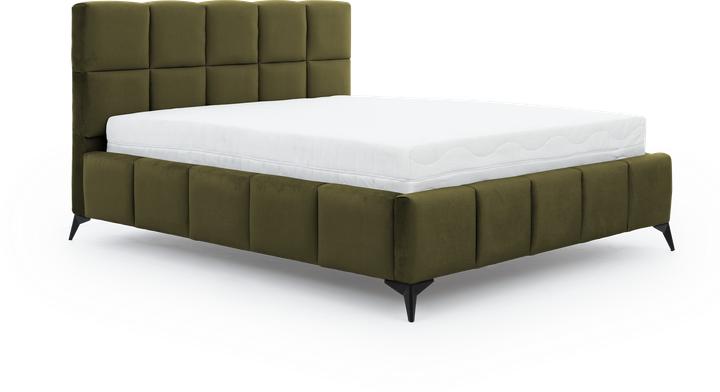 Green Nube 33