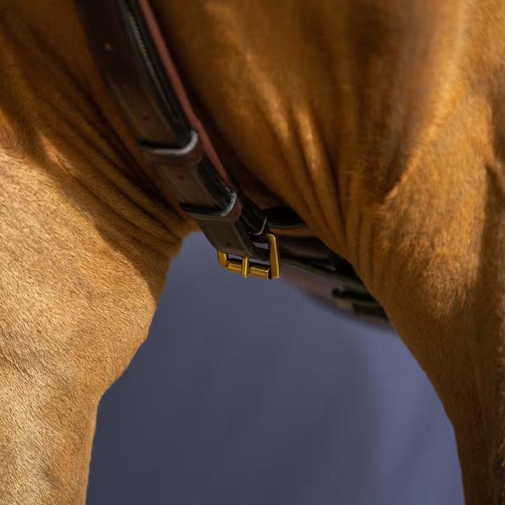 Image du produit Dy'on Yoke