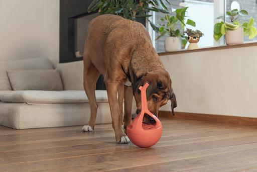 Image du produit Beeztees Jouet en caoutchouc pour chien Wiggle-X (Jouet à mâcher pour chien)