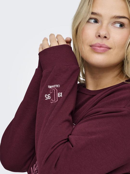 Produktbild Only CARBEN Sweatshirt Sweatshirt (42)