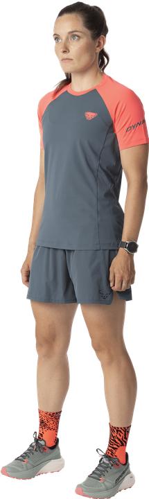 Actual product image Dynafit Alpine Pro T-Shirt (34, XS)