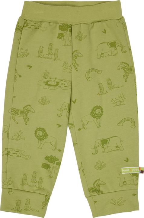 Alligator