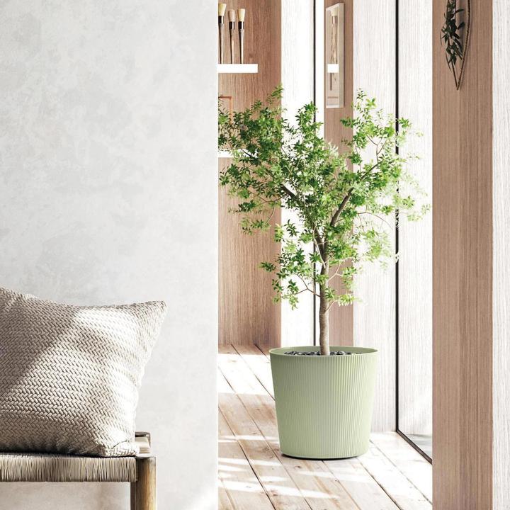 Produktbild Euro3plast Blumentopf Fyre Ø 40 cm oasi Greener, mit Rollen