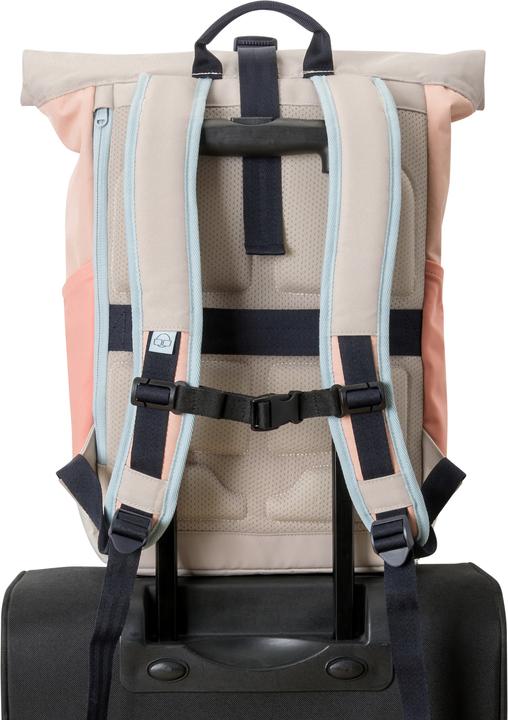 Image du produit Johnny Urban Allen (18.50 l)