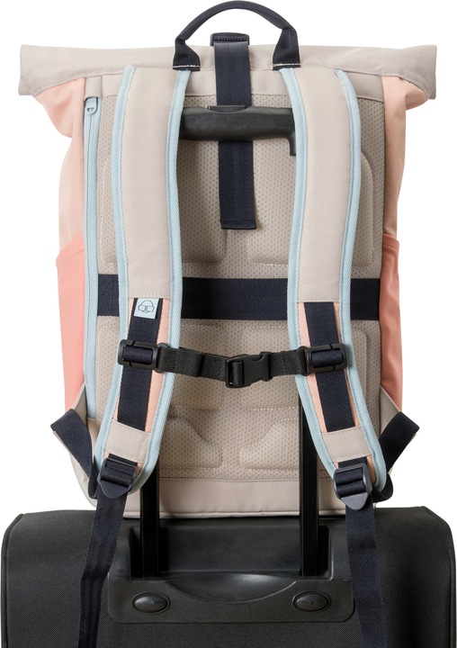 Actual product image Johnny Urban Allen (18.50 l)