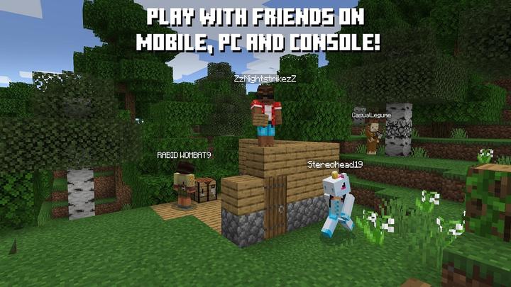 Actual product image Nintendo Minecraft (Switch, Multilingual)