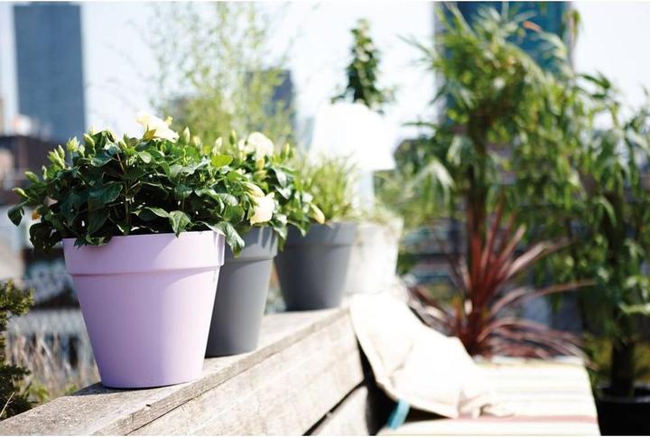 Actual product image Elho Loft Urban (24.50 cm)
