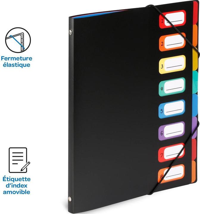 Image du produit Viquel dossier d'organisation (A4, 1x)