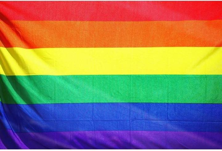 Produktbild Stolz - Lgbt Mittlere Flagge