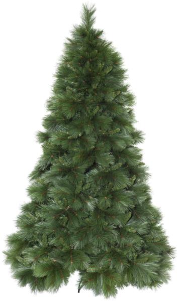 Immagine prodotto Star Trading Cembra (240 cm)