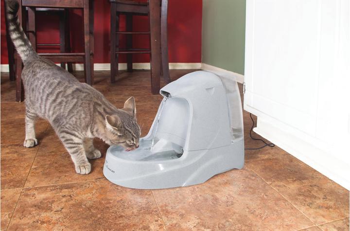 Image du produit Drinkwell Platinum (500 cl)