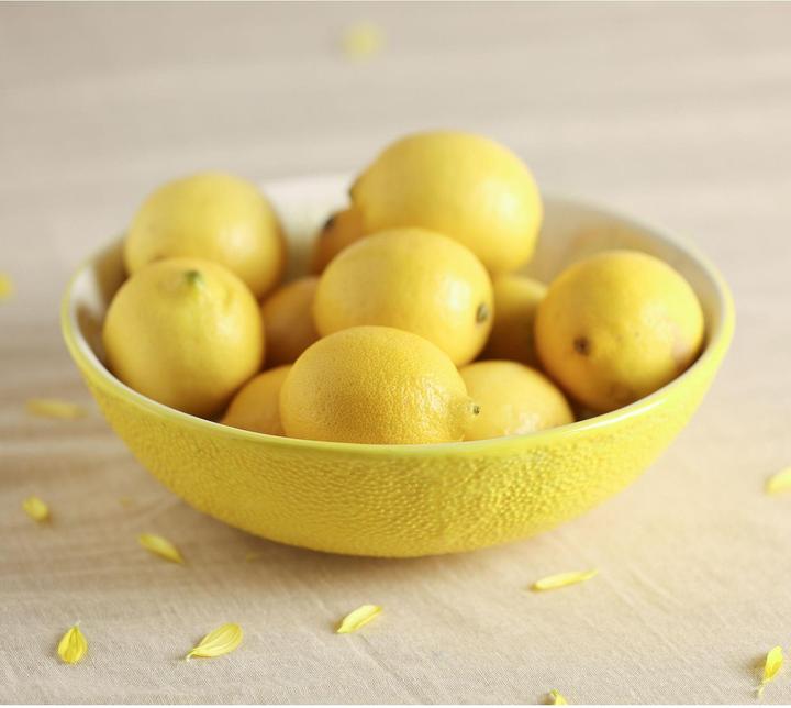 Actual product image Hestia Lemon Serving Bowl