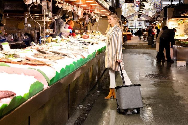 Produktbild reisenthel Carrycruiser