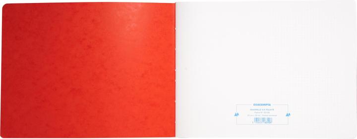 Produktbild Exacompta Geschäftsbücher (25 x 32 cm, Kariert, Harter Einband)