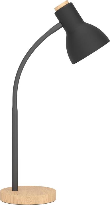 Actual product image EGLO 98831 (E27)