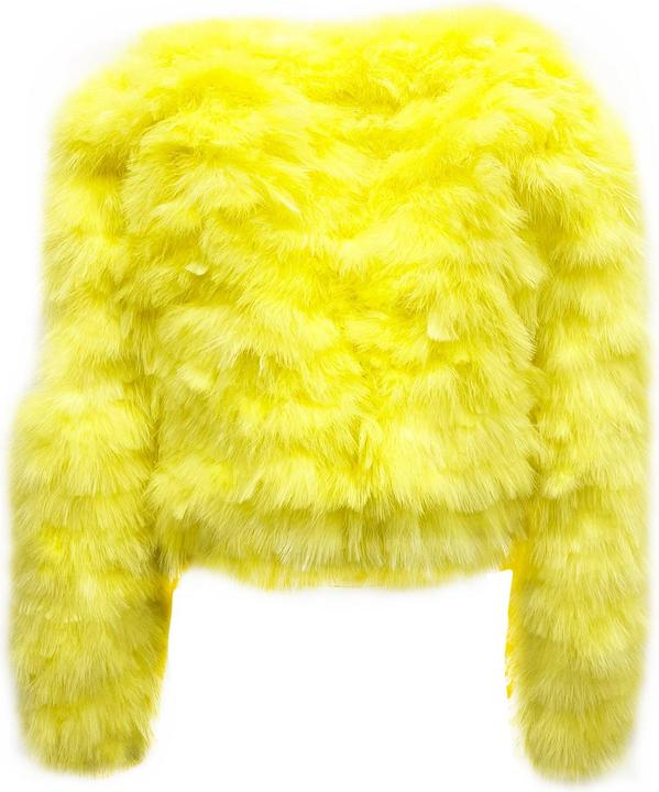 Actual product image Dsquared2 Feathers Bomber Jacket (40)