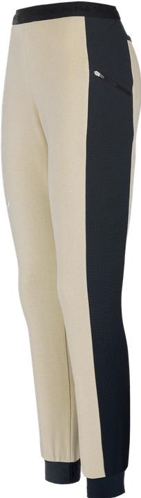 Produktbild Salewa Lavaredo Hemp Train Hose Da (L)