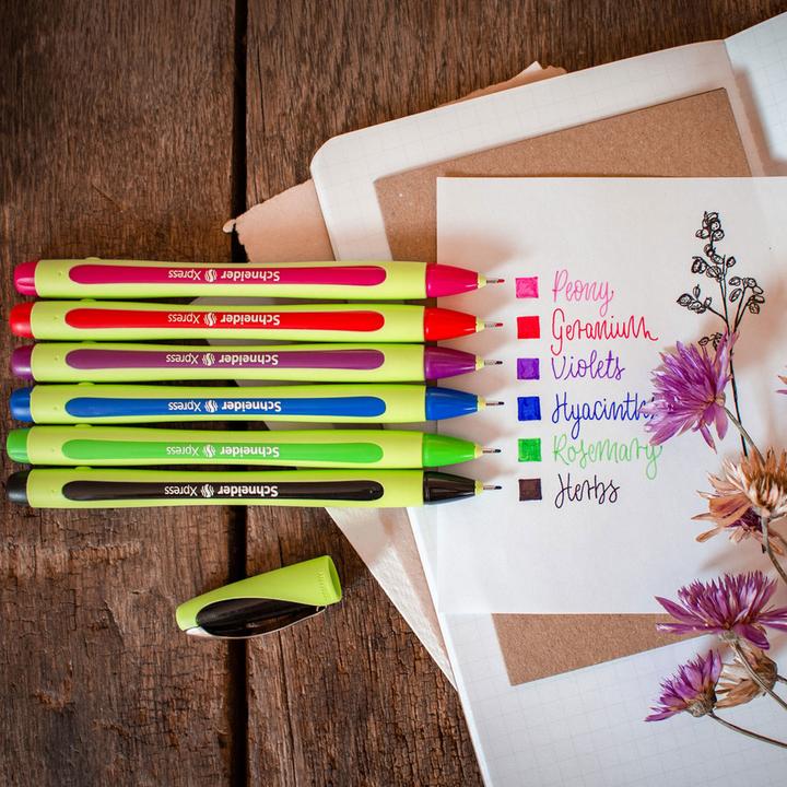 Image du produit Schneider Fineliner Xpress (Bleu, 1 x)