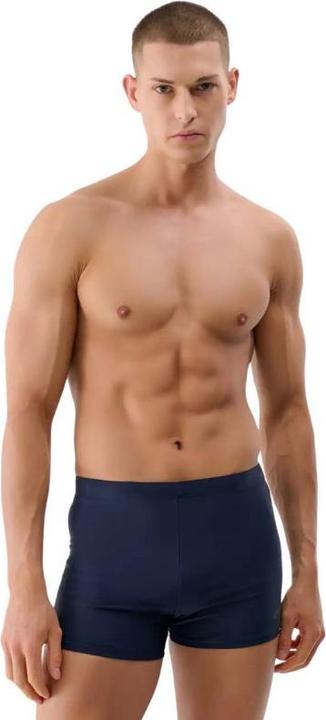 Actual product image 4F Herren-Badeshorts (L)