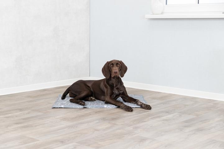 Productafbeelding Trixie Zacht (Hond)
