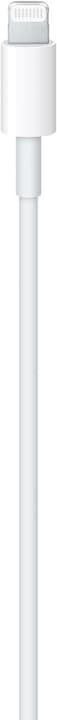 Actual product image Apple USB-C – Lightning (1 m, USB 3.0)