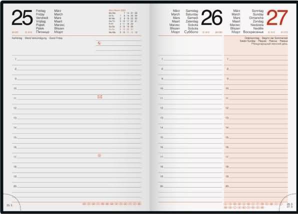 Image du produit Simplex Agenda journalier RIDOIDE Mentor 2025 (A5, 1 jour / 1 page)