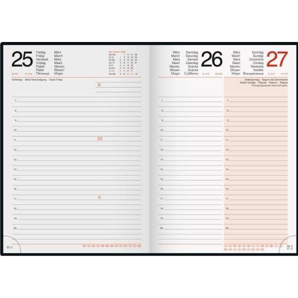 Thumbnail - Simplex, Agenda, Tagesagenda RIDOIDE Mentor 2025 (A5, Deutsch)