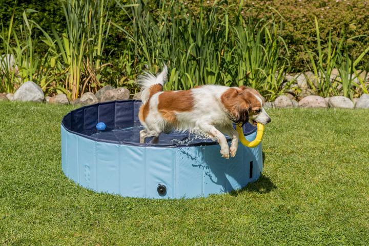 Image du produit Trixie Piscine pour chien (Piscine pour chiens)