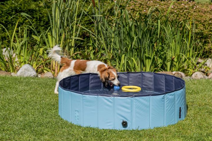Image du produit Trixie Piscine pour chien (Piscine pour chiens)