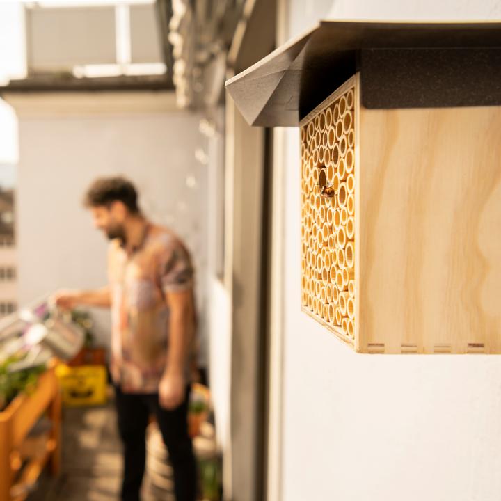 Actual product image Wildbiene BeeHome One (Wild bees)