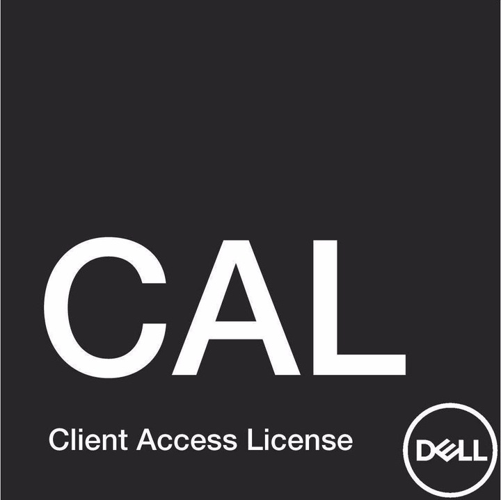 Dell Windows Server 2022 RDS User CAL 5 Pack, D/E/F/I ROK (5 Utilisateur, Illimité)