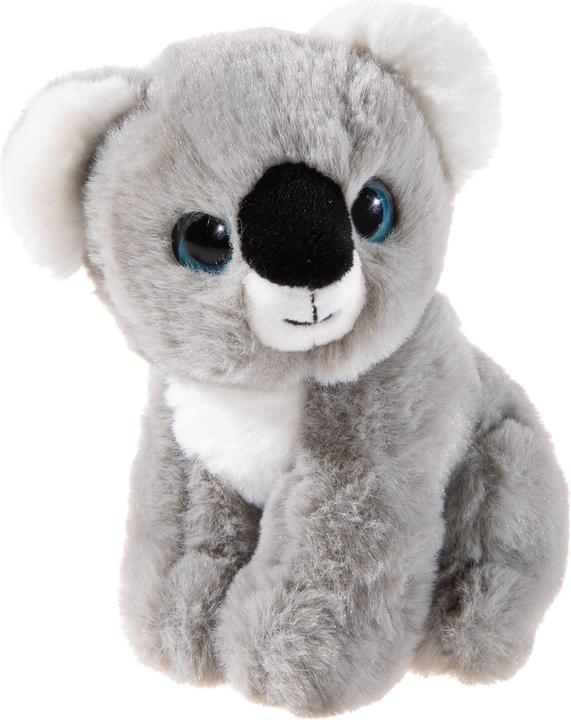 Grigio