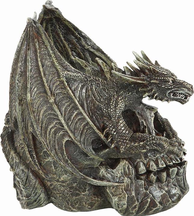 Image du produit Spiral Draco Résine Dragon Sculpture Crâne