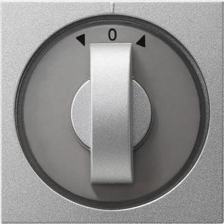 Actual product image Gira Abd. Knebel Zeitsch. + blind system 066626