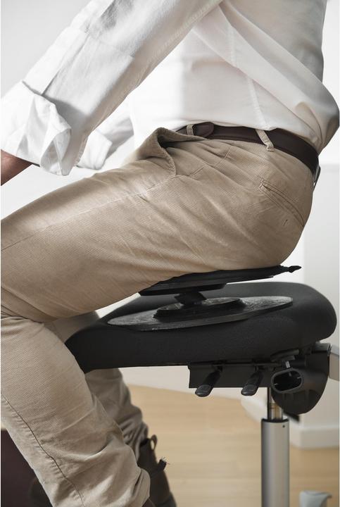 Image du produit Swedish Posture Posture Balance Core