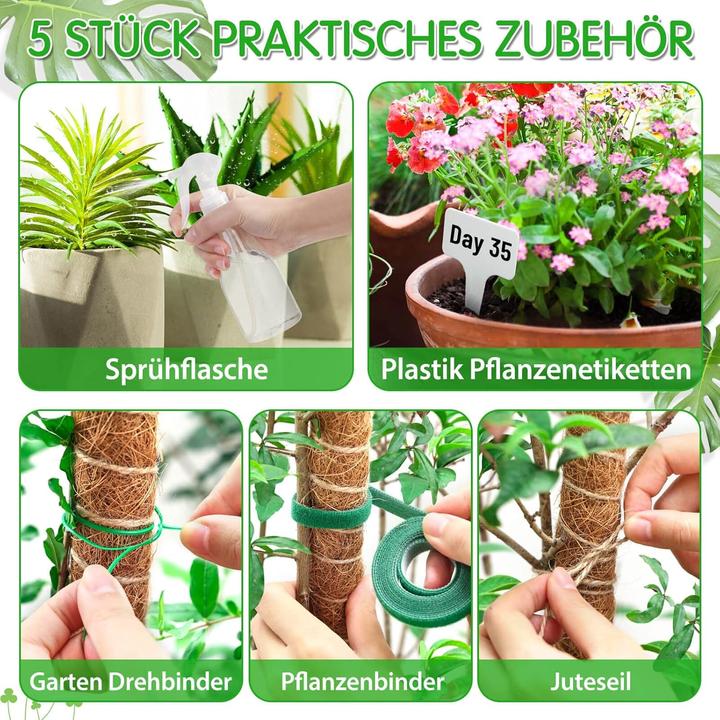 Actual product image Modacraft 18-teiliges Pflanzenstab Set (64 cm, 3 cm)