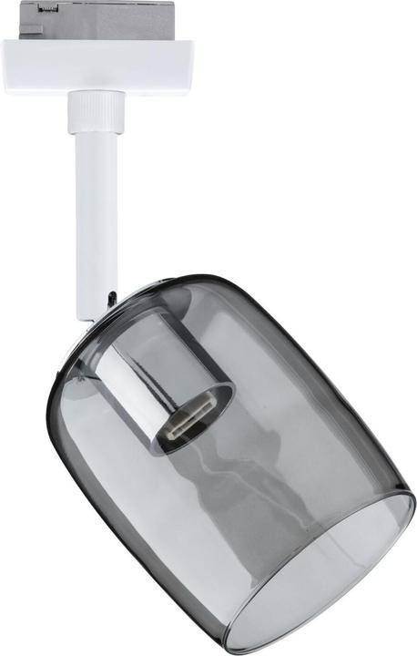 Actual product image Paulmann URail Spot Blossom (G9)