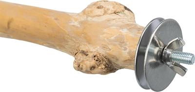 Actual product image Trixie Perch with screw fastening, coffee wood, 20 cm/ø 20-30 mm