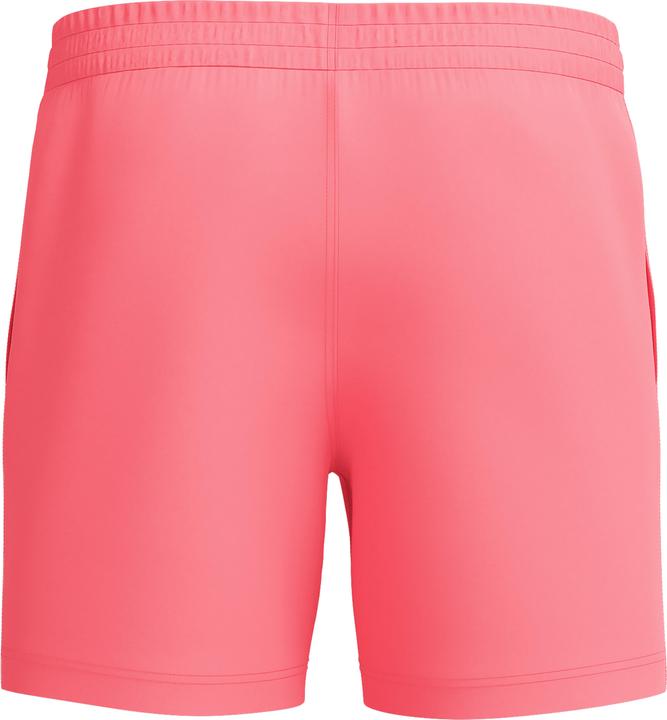 Actual product image Speedo Essential 16" Watershort (L)