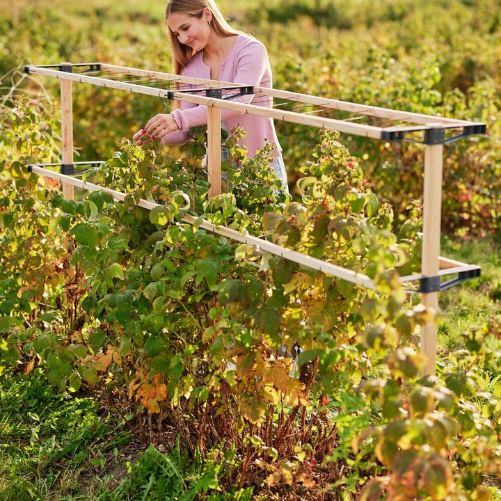 Actual product image Gusta Garden Berry Buddy (120 cm, 34.50 cm)