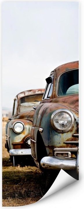 Immagine prodotto Trenddeko Vecchie auto arrugginite (50 x 120 cm)
