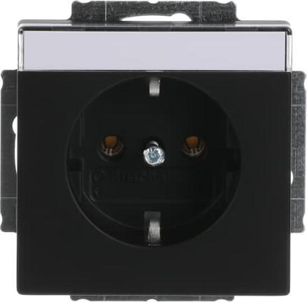 Actual product image Busch-Jaeger SCHUKO® socket outlet insert with 2CKA002011A3884