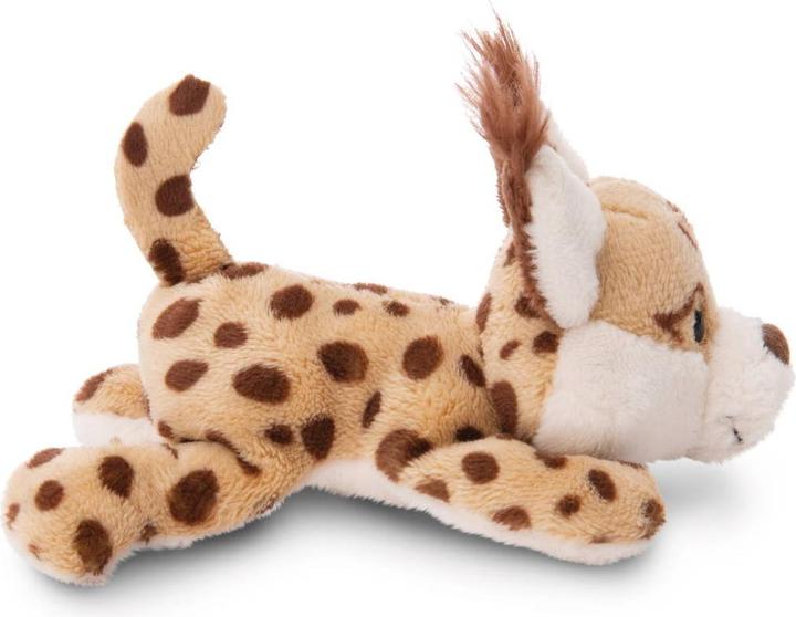 Actual product image NICI Magnicis Lyka