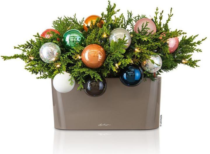 Productafbeelding Lechuza Delta (40 x 15 x 18 cm)