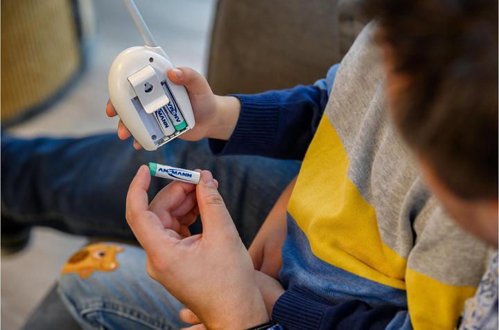 Produktbild Ansmann Micro (AAA)-Akku NiMH DECT max (2 Stk., AAA / LR03 / Micro / R03 / AM4 / MN2400 / KR03, 550 mAh)